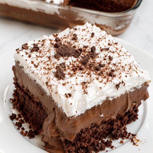Chocolate Pudding Dessert Cake