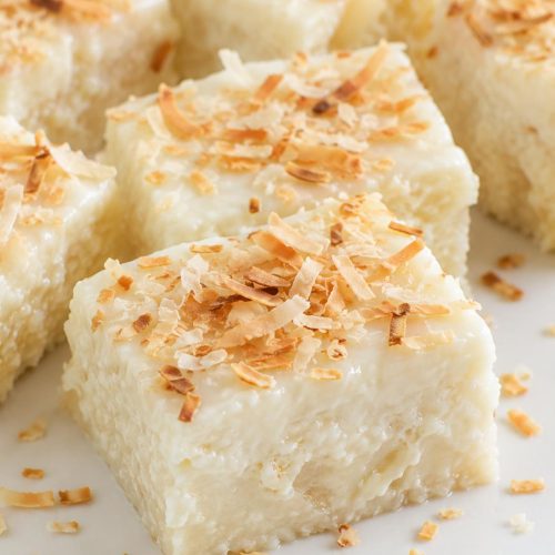 Coconut Pudding Dessert